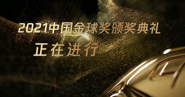 99久久精品国产一区